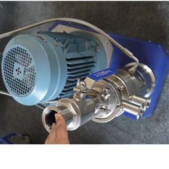 GRS2000细胞破碎均质匀浆机