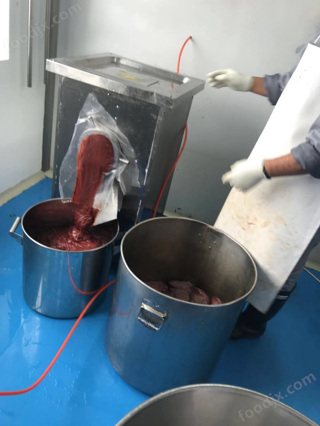 动物内脏破碎超高速胶体磨